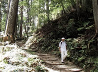 七面山の山道の様子